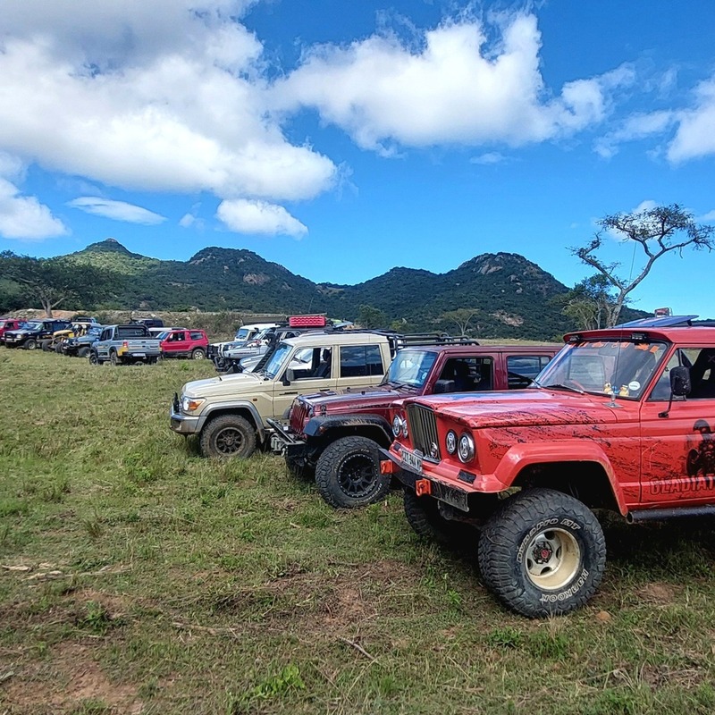 Vehicles In Their Natural Enviroment